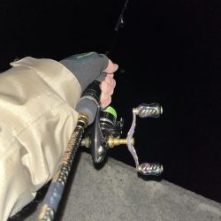 エギング 佐渡遠征⑥