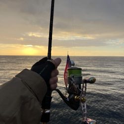 エギング 佐渡遠征⑦