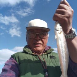 落ちギスが釣れ初めました