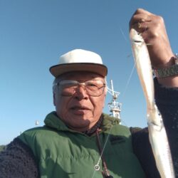 魚住漁港の落ちギス調査