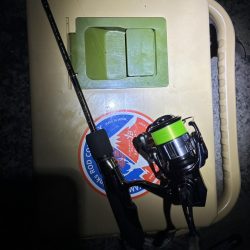 やっぱりアジングやなー