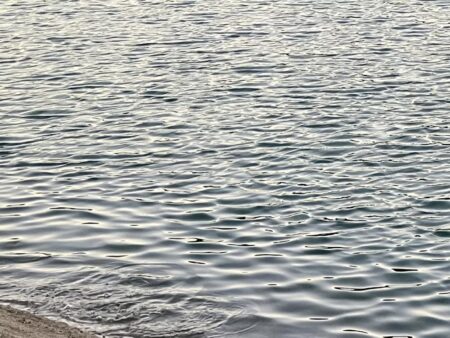 序盤　ヒラスズキ　