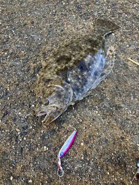 ヒラメ43、イトヨリダイ42cm