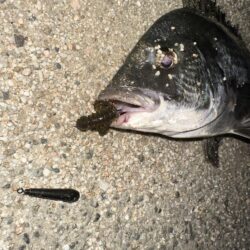 時合待ちにんぐ