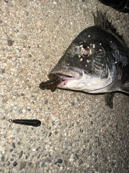 時合待ちにんぐ