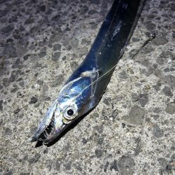 激渋の中の粘り勝