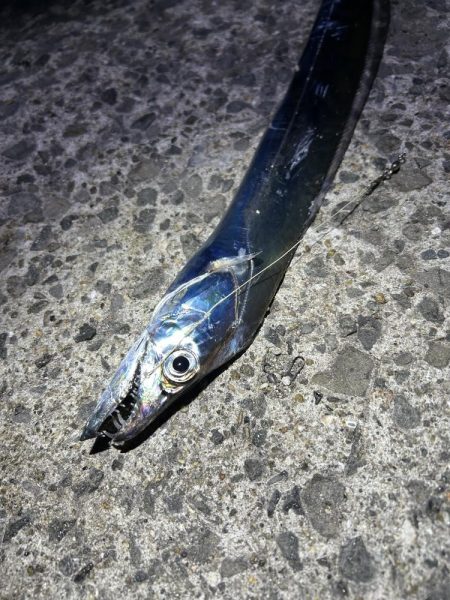 激渋の中の粘り勝