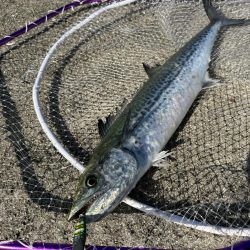 釣り開始すぐのミラクル