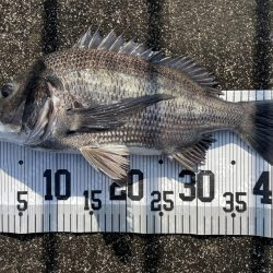 イチノ兄弟、釣果！