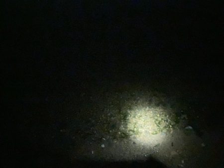 ちょい投げとウキフカセ