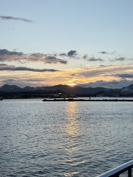 サゴシは釣れなくなったのか….？