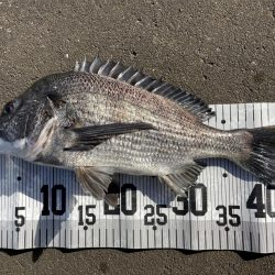 イチノ兄弟、釣果！