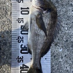 イチノ兄弟、釣果！