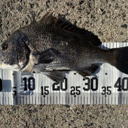 イチノ兄弟、釣果！