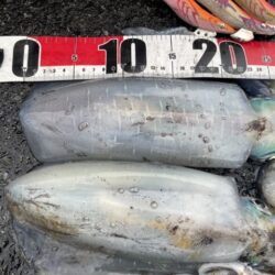 2025 佐渡ヶ島エギング Vol.59【11月24日】