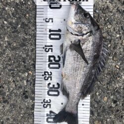 イチノ兄弟、釣果！