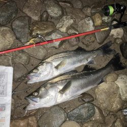 ワンピッチフェザージギング