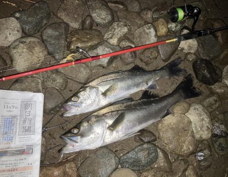 ワンピッチフェザージギング