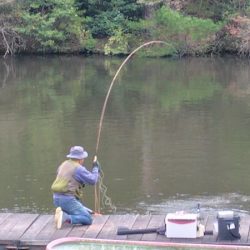 フライフィッシング第2戦〜ハミングバード通天湖〜