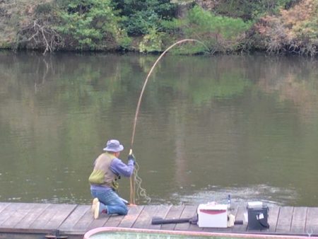 フライフィッシング第2戦〜ハミングバード通天湖〜