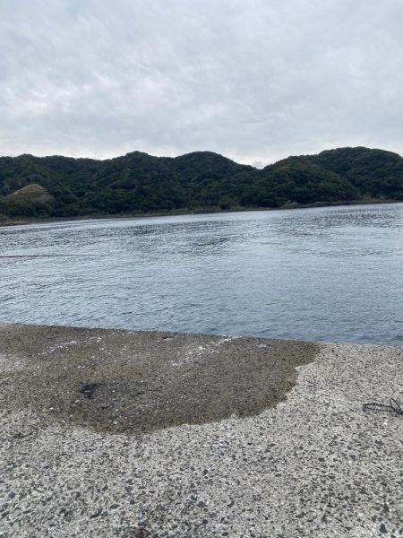 風もなく穏やかな1日