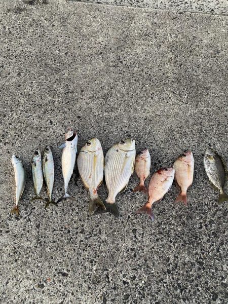 夕方まで釣れ続け