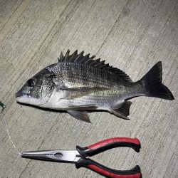 想像より渋かった