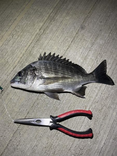 想像より渋かった