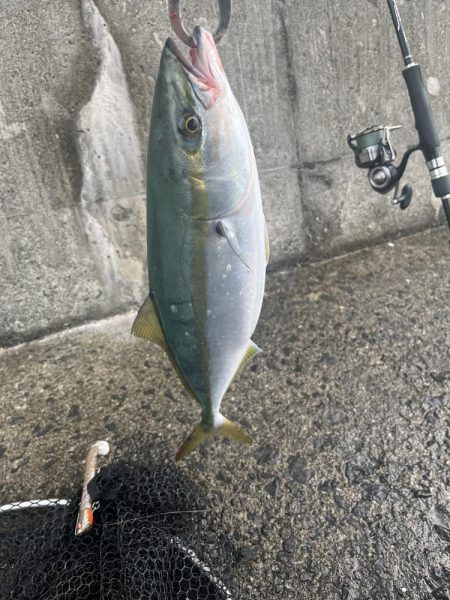 坂ノ市沖防波堤