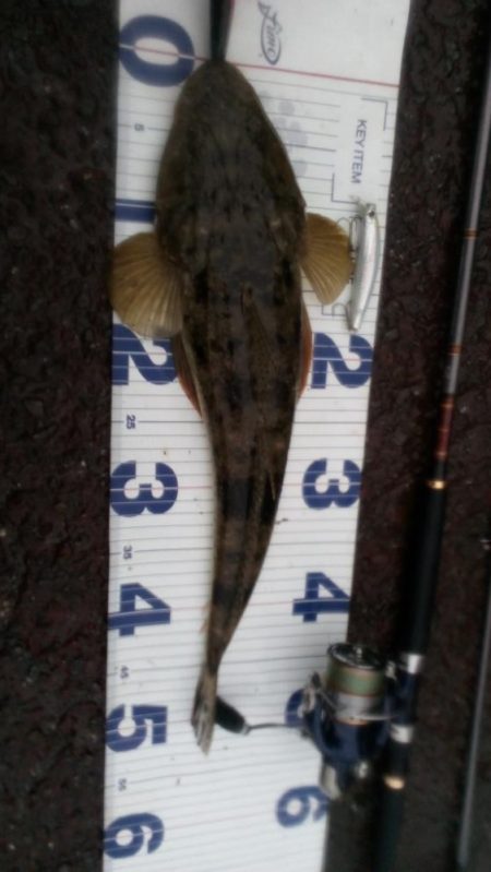 そろそろ川は厳しいかな・・・。