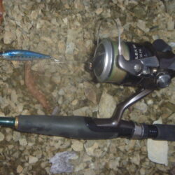 一庫ダム釣行　11月26日