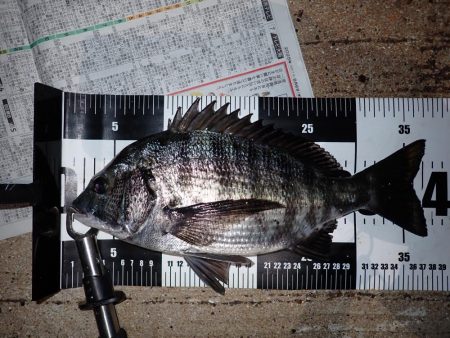 良く引きました