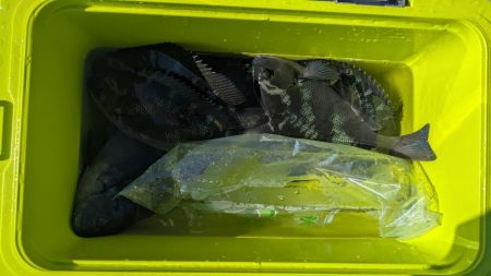 ついに開幕！秋のグレシーズン！！