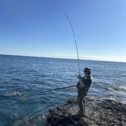和歌山市江（吉丸渡船）でグレ釣り