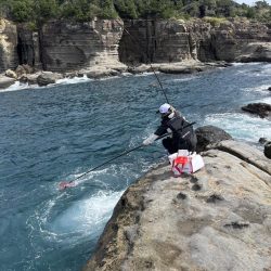 和歌山市江(吉丸渡船)でグレ釣り