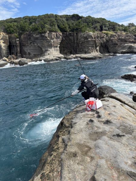 和歌山市江(吉丸渡船)でグレ釣り