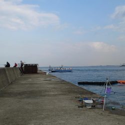 サゴシさんお久しぶりです