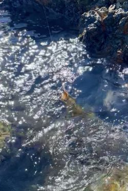 ランガンエギング