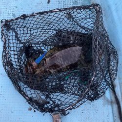 ボートエギングなど