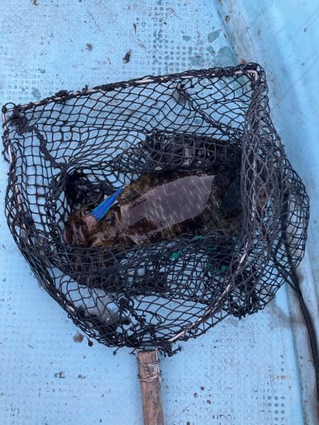 ボートエギングなど