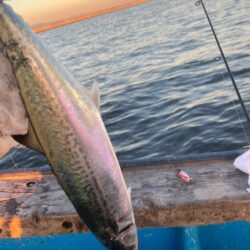 神戸キャスティング