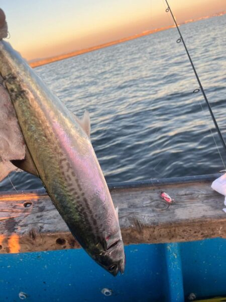 神戸キャスティング