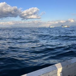 船からタチウオ