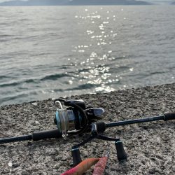 満月のエギング