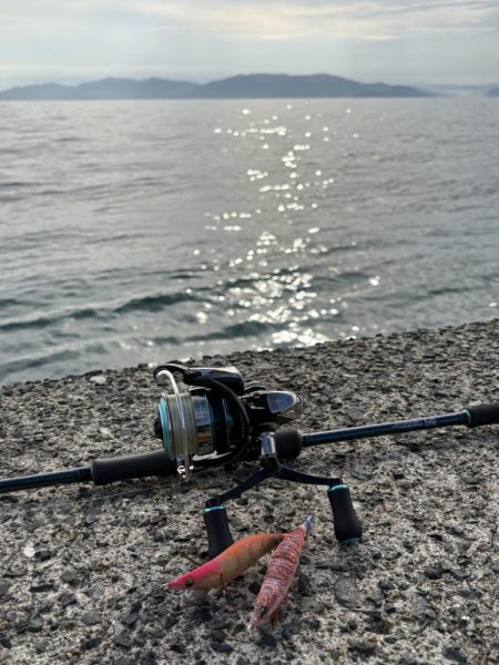 満月のエギング