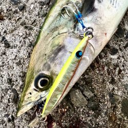 ショアジギング