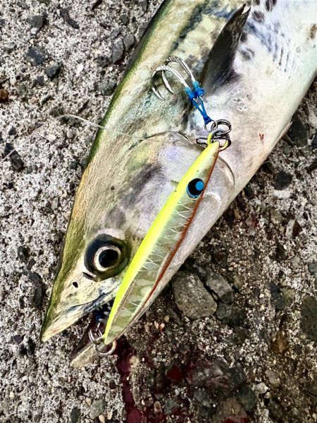 ショアジギング