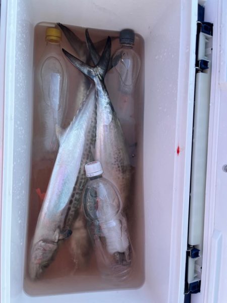 神戸沖キャスティング