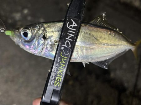 久しぶりのアジング