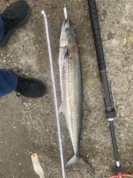 やっとサワラ〜！